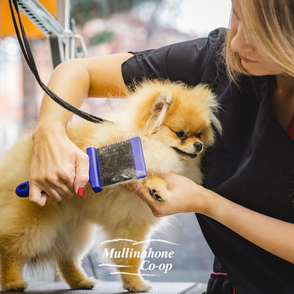 Pomeranian shop grooming tools