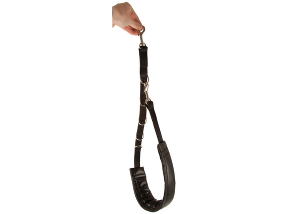 Dog grooming noose and belly clearance strap