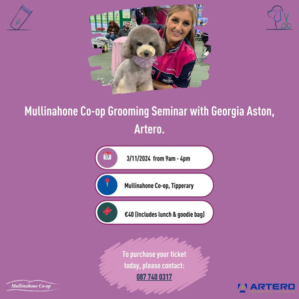 Mullinahone Co-op Grooming Seminar with Georgia Aston Artero