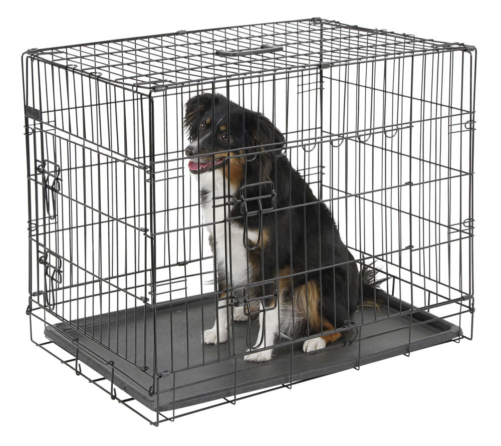 Dog holding cages best sale