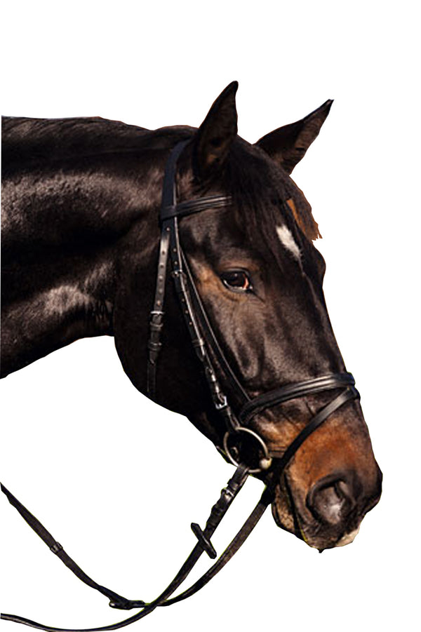 Bridle Leather Flash Nose Band Black