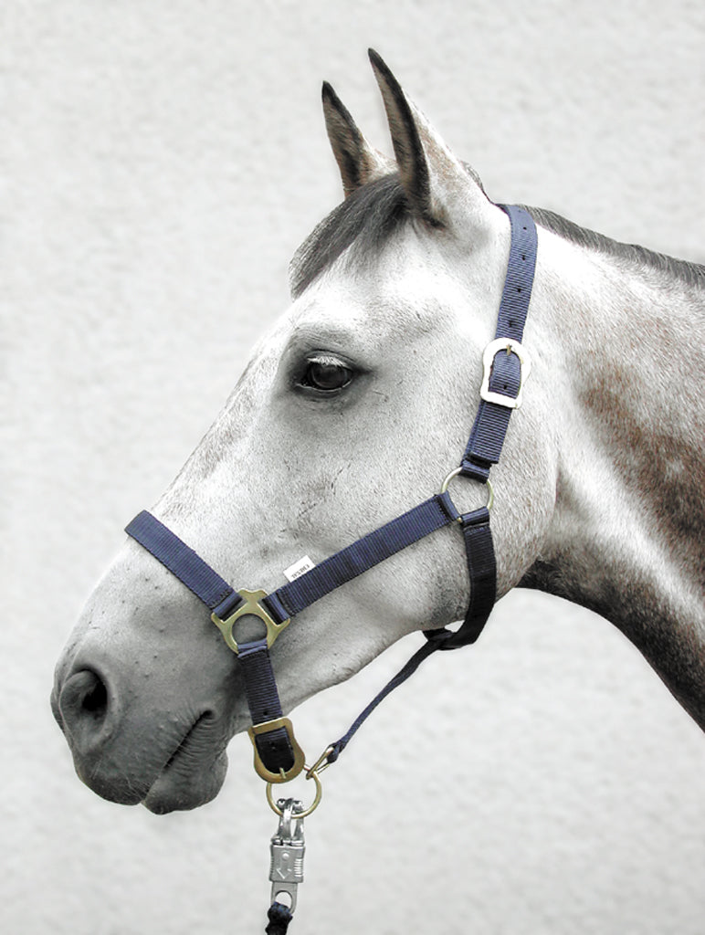 Headcollar Nylon Adjustable